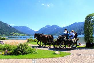 Horse and kart at the Schliersee Upper Bavaria Germany